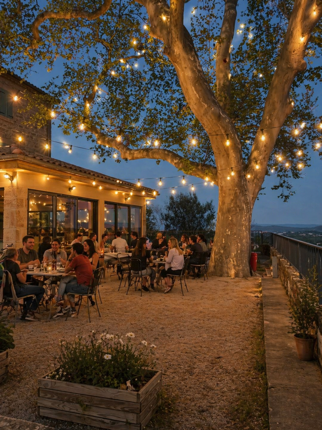 Terrasse animée sous le platane à la tombée du jour
